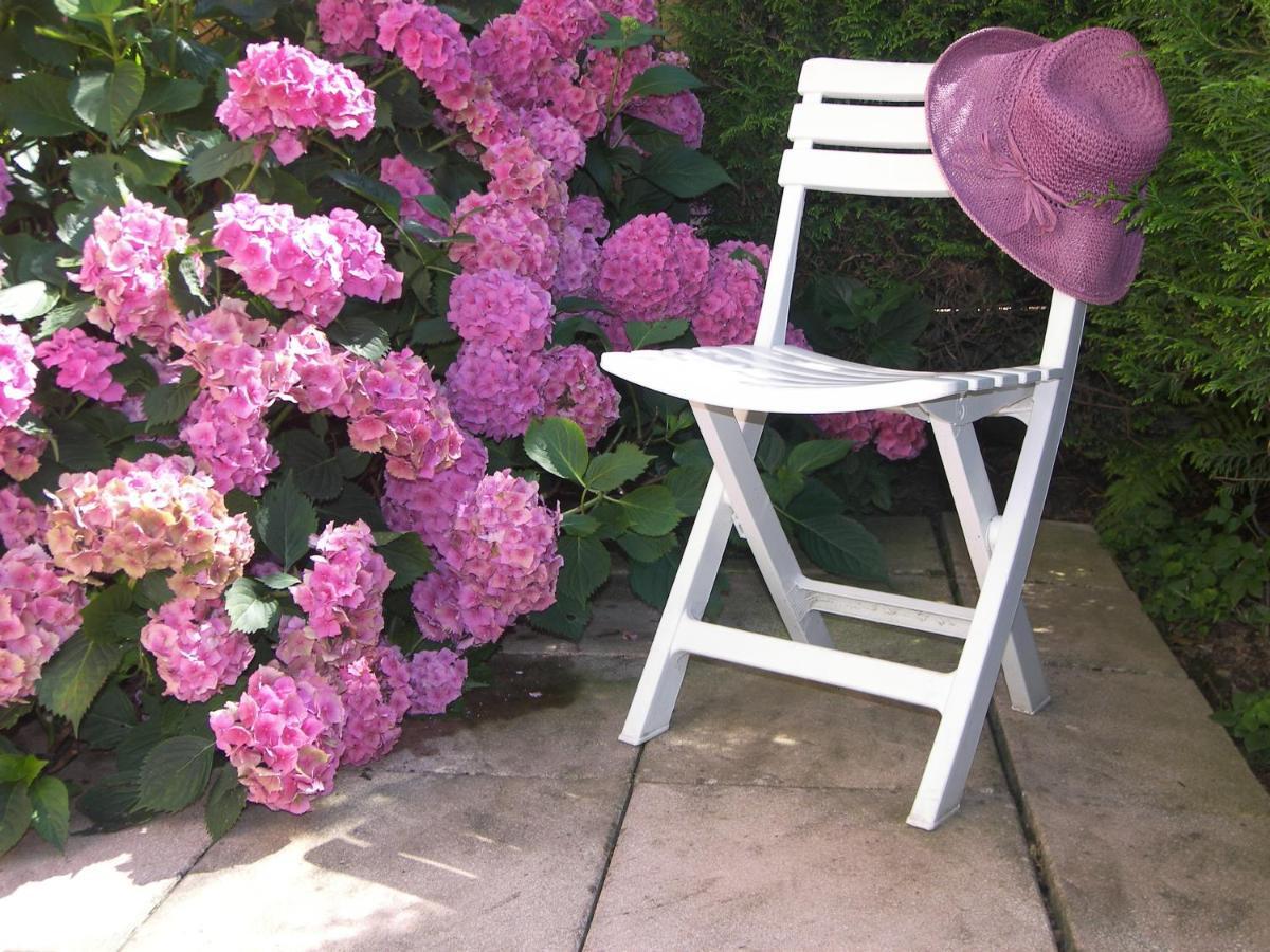 Les Hortensias Sainte-Marie-aux-Mines Exterior foto