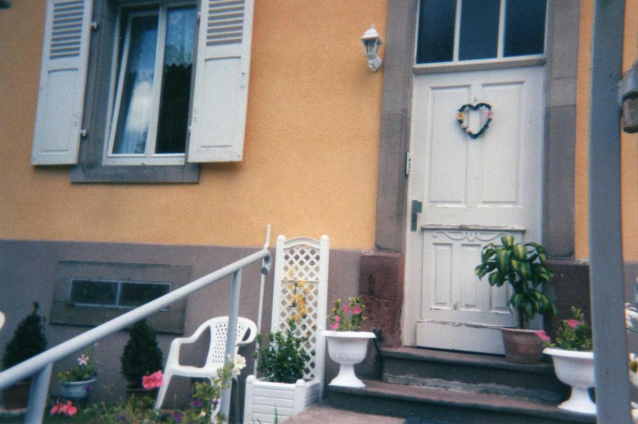 Les Hortensias Sainte-Marie-aux-Mines Exterior foto