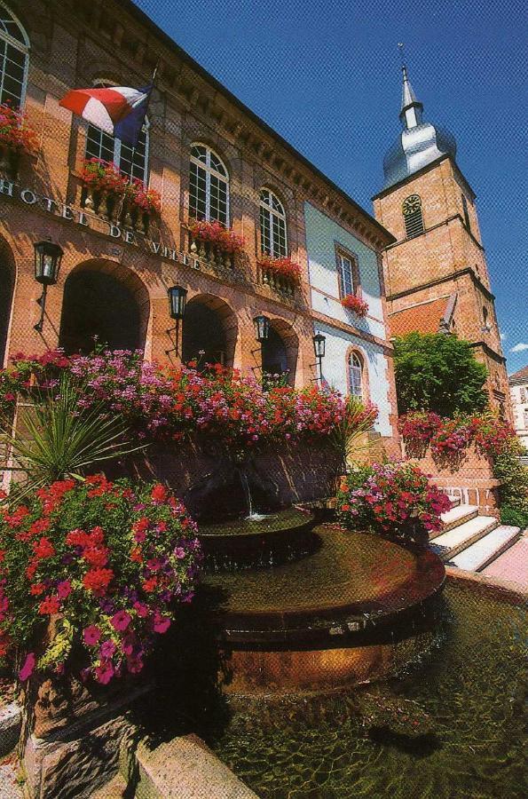 Les Hortensias Sainte-Marie-aux-Mines Exterior foto